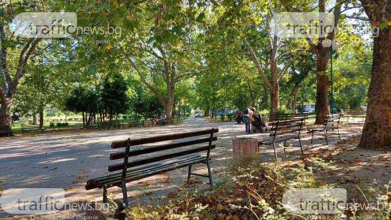 Пловдивски шофьор скандализира всички с наглата си изцепка в парка СНИМКИ 