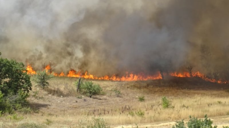 Собственоръчно направено огнище е причината за пожара в Рила