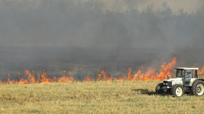 Пожарът в Родопите пламна отново