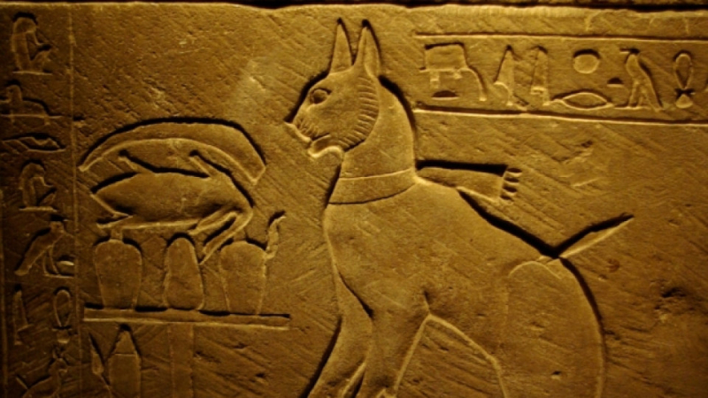 Тайната падна! Ето защо котките са почитани като божества в древен Египет