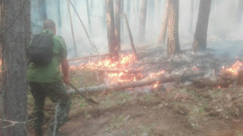 Недоволство сред доброволците в Югово: Държавата изобщо не помага срещу огъня
