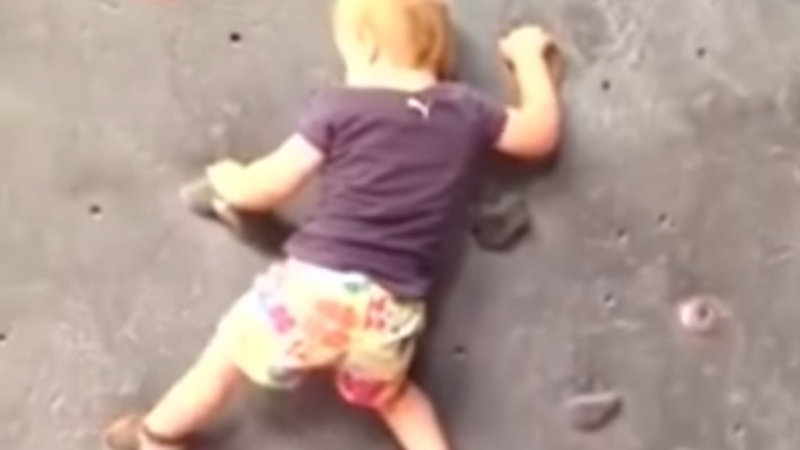 Малък паяк: Бебе се изкачва само по стена за катерене ВИДЕО