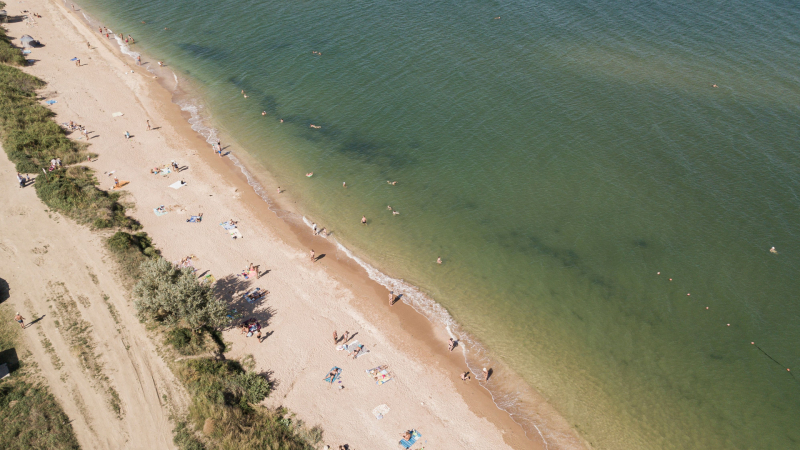 Страшна напаст налази плажове в Крим, туристите се разбягаха ВИДЕО