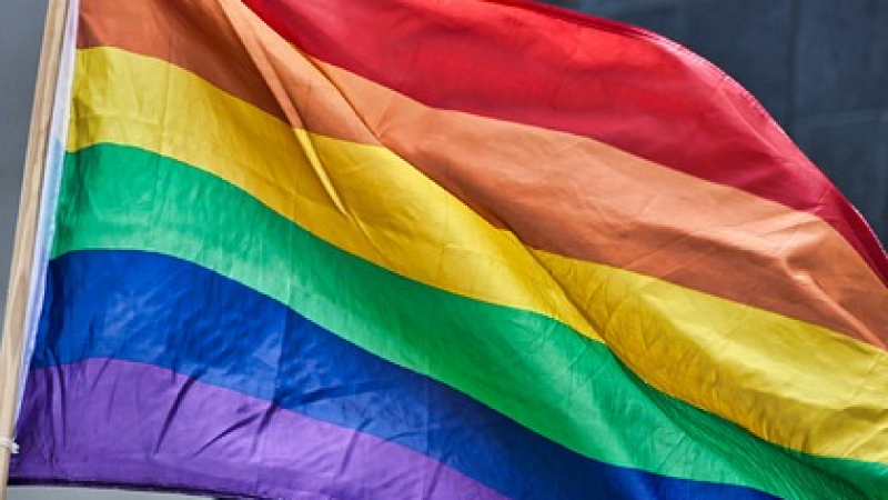 Скандал: Учителка зове ученици да се кълнат във вярност на ЛГБТ флаг
