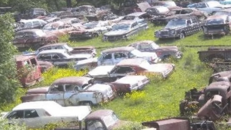 В полето откриха около хиляда изоставени автомобила СНИМКИ