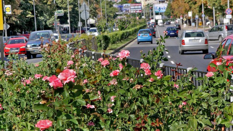 Големи красоти в Пловдив по повод 6 септември СНИМКИ