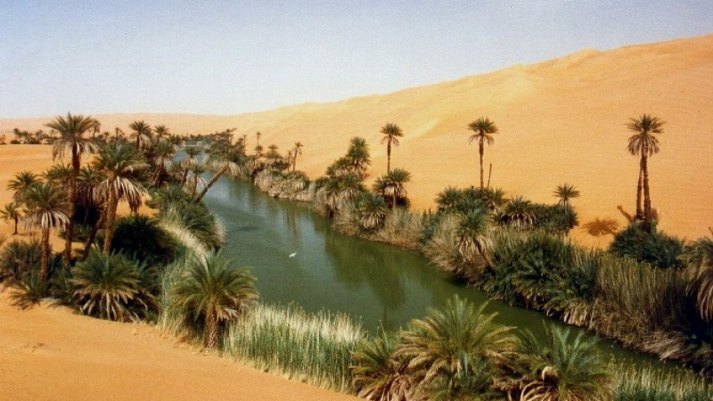Първите хора се появили в Арабия преди 400 хиляди години