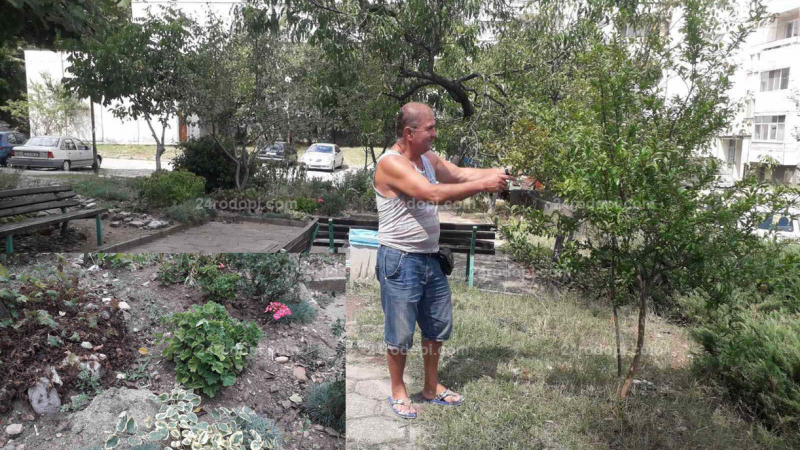 Неджо от Кърджали си бере подправките от градинката пред блока СНИМКИ