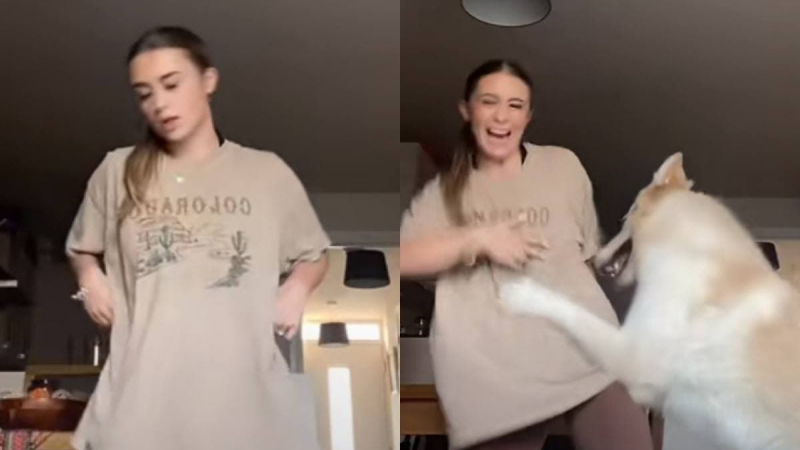 ВИДЕО запечата забавната реакция на куче на танца на момиче