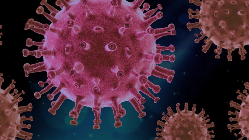 Пробив! Вирусолози откриха свръхчовешки имунитет срещу К-19