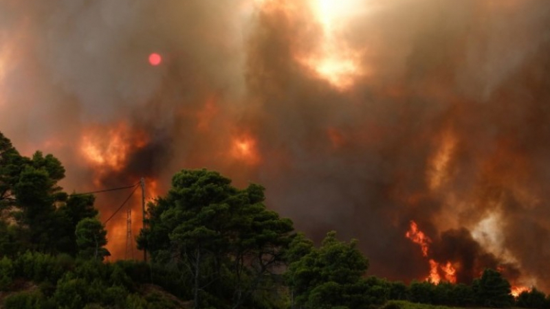 Пожар бушува в Национален парк „Рила“
