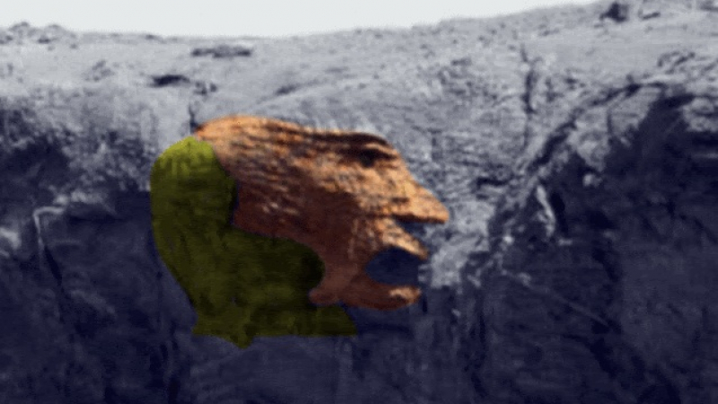 Уфолог откри древно "извънземно лице" на Марс СНИМКИ