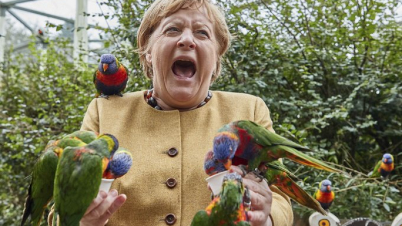 Папагали нападнаха Меркел, реакцията й е безподобна СНИМКИ