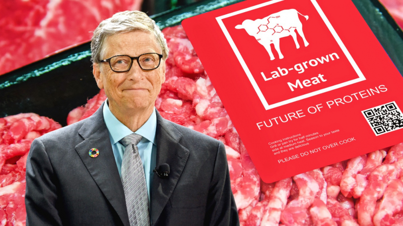 Бил Гейтс иска да ядем изкуствено месо, за да пазим климата. Е как да стане?