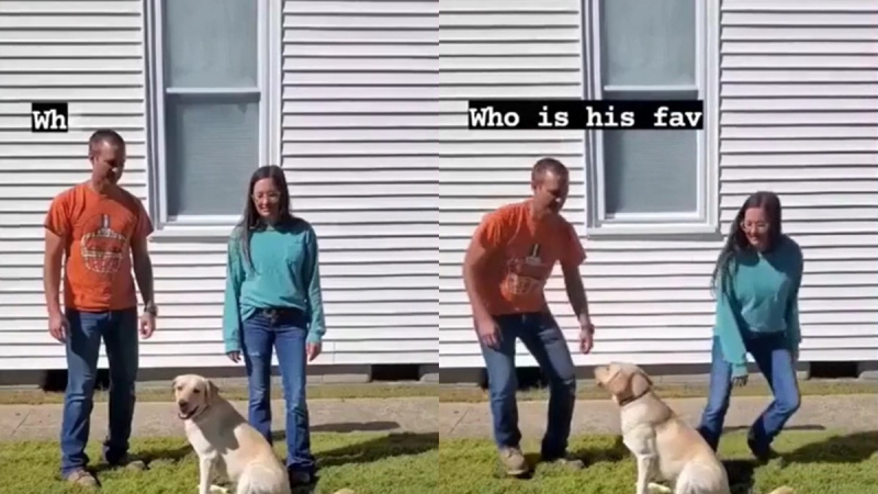 Мъж провери кого най-много харесва кучето му, но бързо съжали ВИДЕО