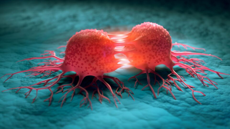 Учени откриха начин за забавяне на растежа на раковите клетки