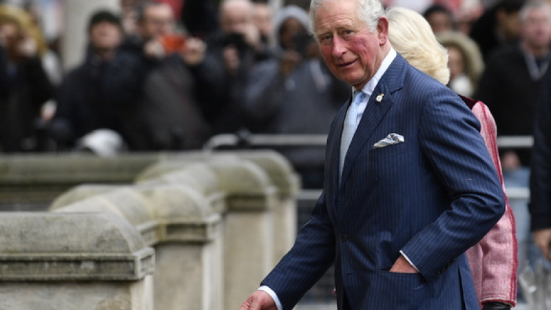 Кралски експерт: Принц Чарлз трябва да е притеснен от мемоарите на Хари