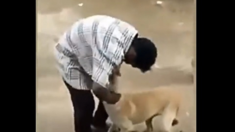 Мигновена карма: Мъж се гаври с куче, но ето кой му отмъсти жестоко ВИДЕО