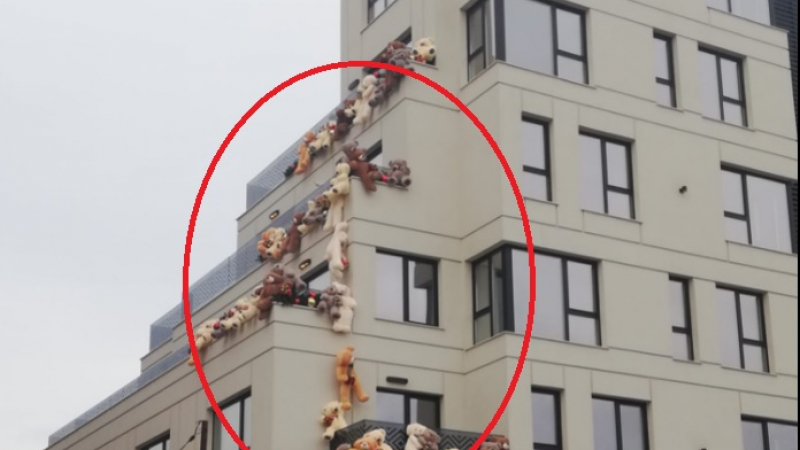 Пълен шок в София! Десетки мечки нападнаха 7-етажна сграда СНИМКА