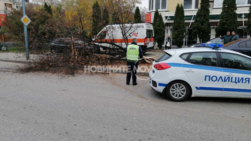 Екшън в Пловдив: "Порше" помете коли, дърво и стълб! Хора хвърчат