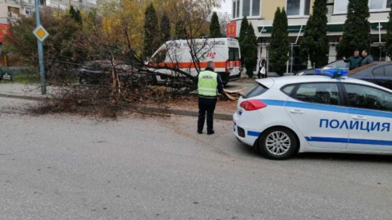 Шокиращи разкрития за мелето с Порше в Пловдив, колата се оказа на...