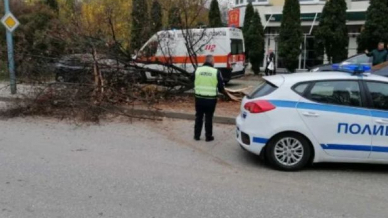 Извънредни новини за шофьора на Поршето, помело коли, дърво и стълб в Пловдив