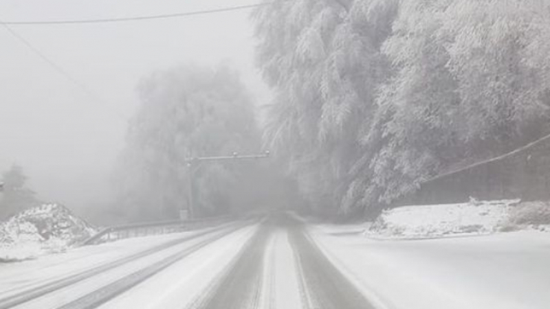 Сняг натрупа на прохода "Петрохан" и не спира СНИМКА 