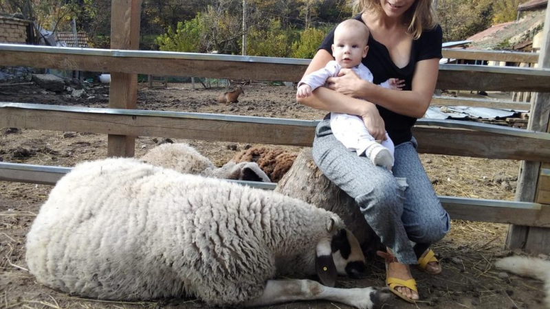 Британци кръстиха бебето си на овен от ферма в търновско село 