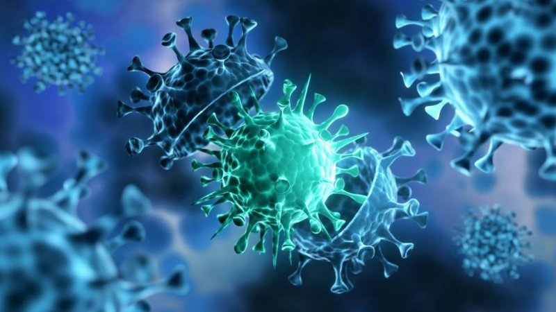 Пробив: Отлични резултати от тестовете на принципно нова ваксина срещу коронавируса