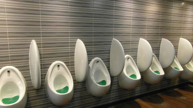 "Тоалетните" навици в различните страни могат да шокират