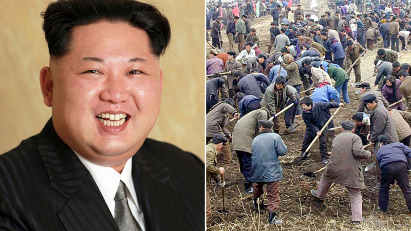 Севернокорейският Гулаг: Робите на Ким Чен Ун ядат изпражнения и убиват децата си