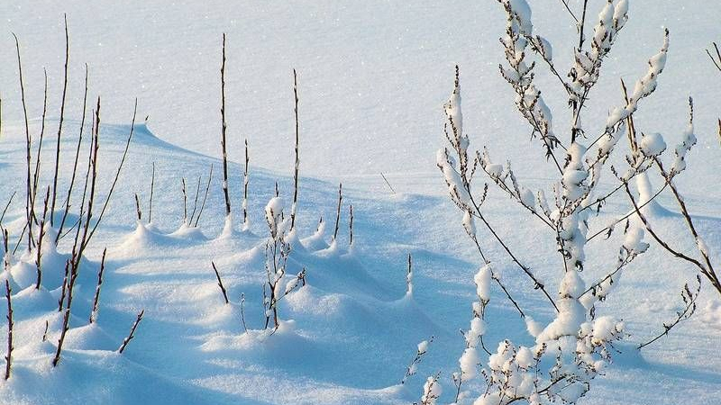 НИМХ обяви пълната си прогноза за декември, ще има ли снежни Коледа и Нова година!