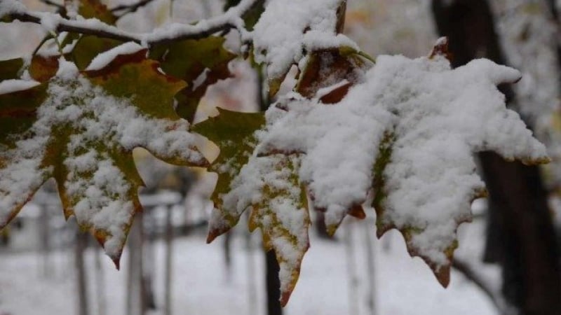 Синоптик от НИМХ: Сряда започва със сибирски студ, а после...