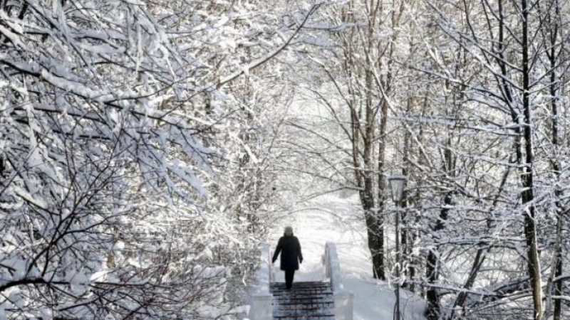Световни синоптици: Ето каква зима очаква Европа заради Ла Ниня