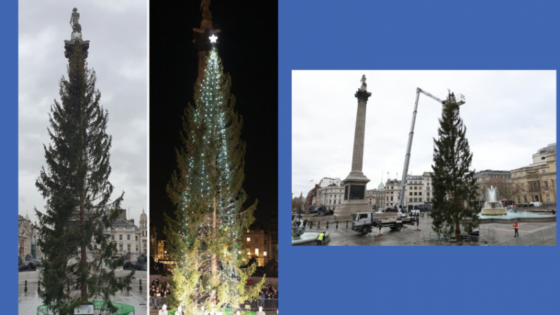 Британците се подиграха на главното си Коледно дърво и премиера Джонсън СНИМКИ