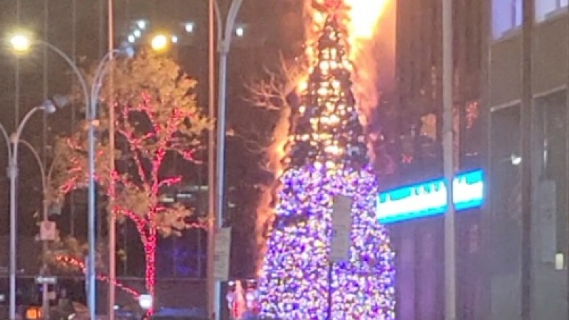 Подпалиха коледната елха на телевизия в Ню Йорк ВИДЕО