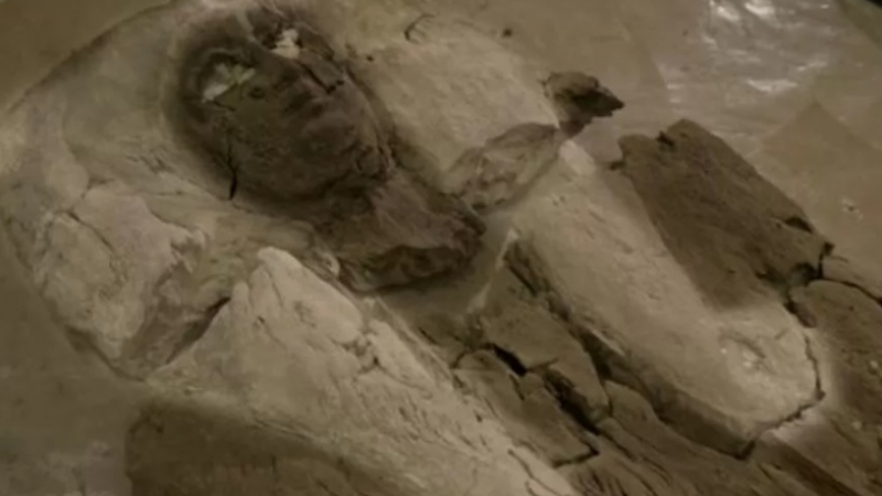 Странна мумия на непозната жена бе открита в египетска гробница