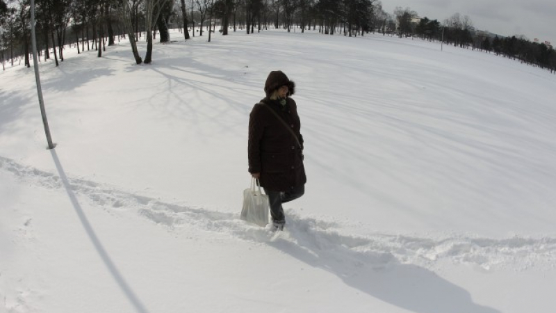 Рекорден снеговалеж парализира Белград