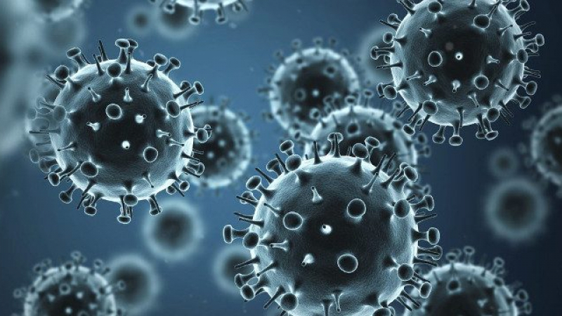 Първи случай на страшен нов грип е регистриран в България