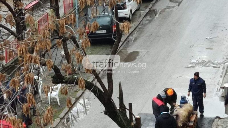 Пловдивчани в шок! Какво се случва на тази улица в централен квартал СНИМКИ