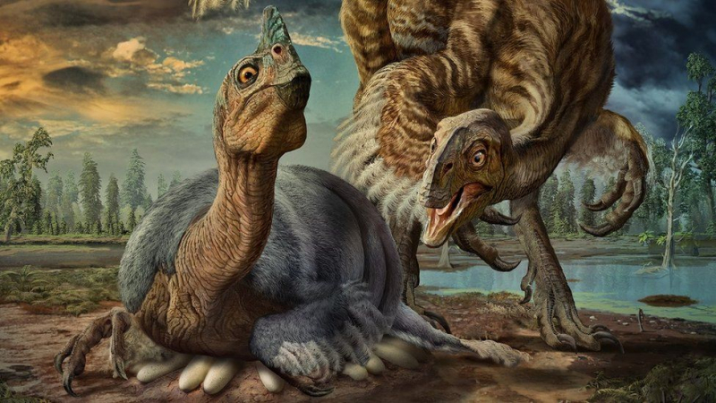 Вкаменено яйце на динозаври на 66 млн. години разкрива уникални неща ВИДЕО