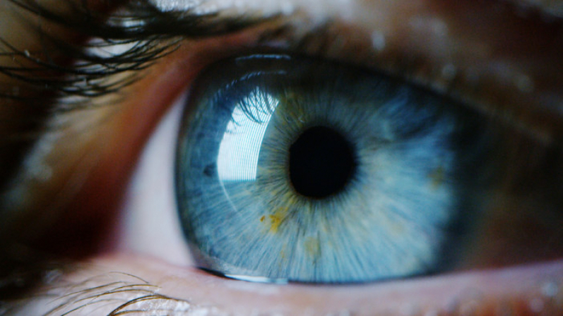 Пробив: Генна терапия връща зрението на братя с дистрофия на ретината