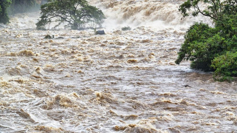 Хиляди засегнати от наводненията в Бразилия
