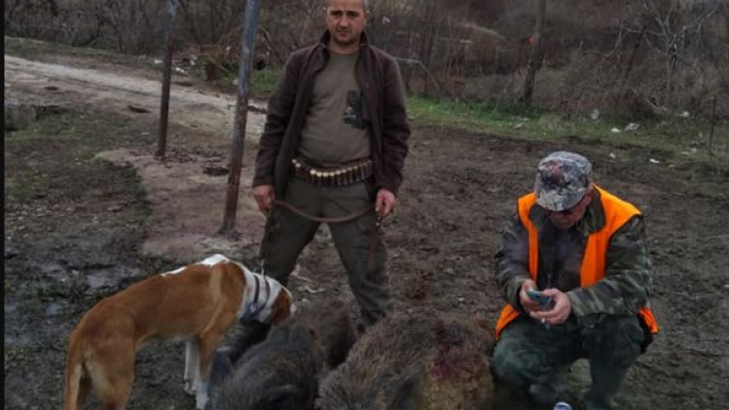Убиха любимеца на ловната дружинка в Черноочене