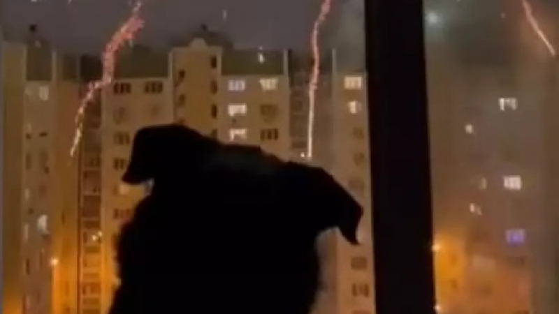 Хитово ВИДЕО запечата куче, което обожава фойерверките