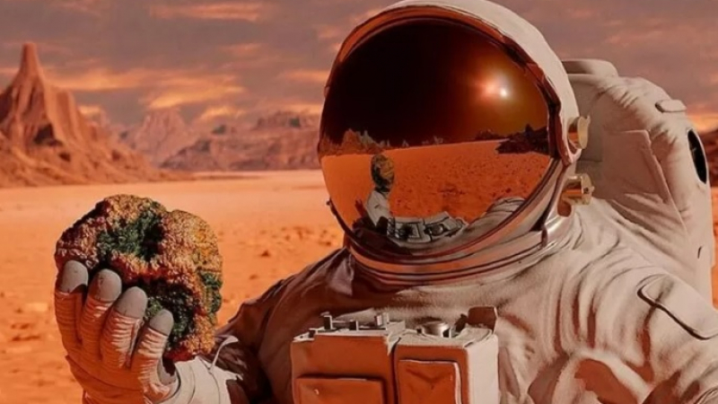 Мъск посърна: Учени изразиха мрачни прогнози за колонизацията на Марс