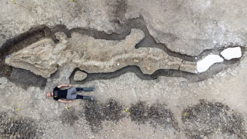 Археолози откриха гигантски скелет на морско чудовище СНИМКИ