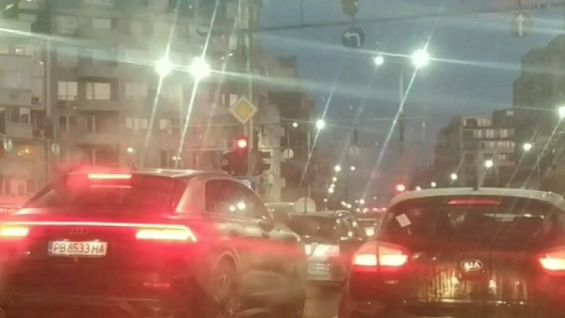 Шофьор видя нещо на пътя в Пловдив и се потресен ВИДЕО