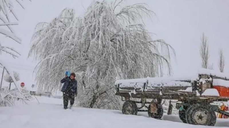 Трагедия на границата: Бяла смърт застигна майка, съблякла дрехите си, за да стопли децата си СНИМКИ