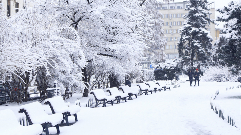 Зимата идва: Сняг ще трупа в тези райони на България КАРТА